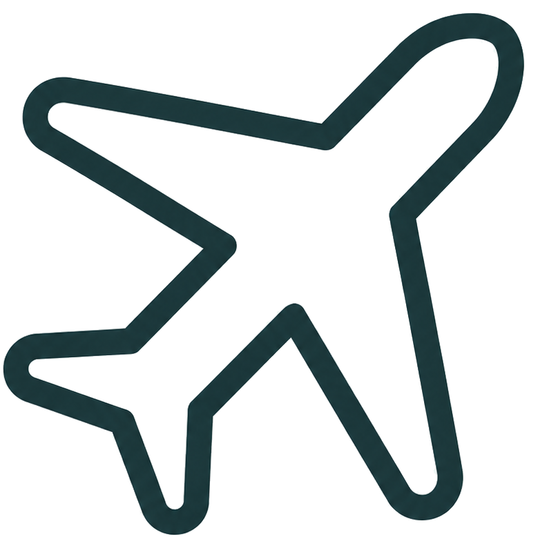 Black outline icon of an airplane viewed from above.