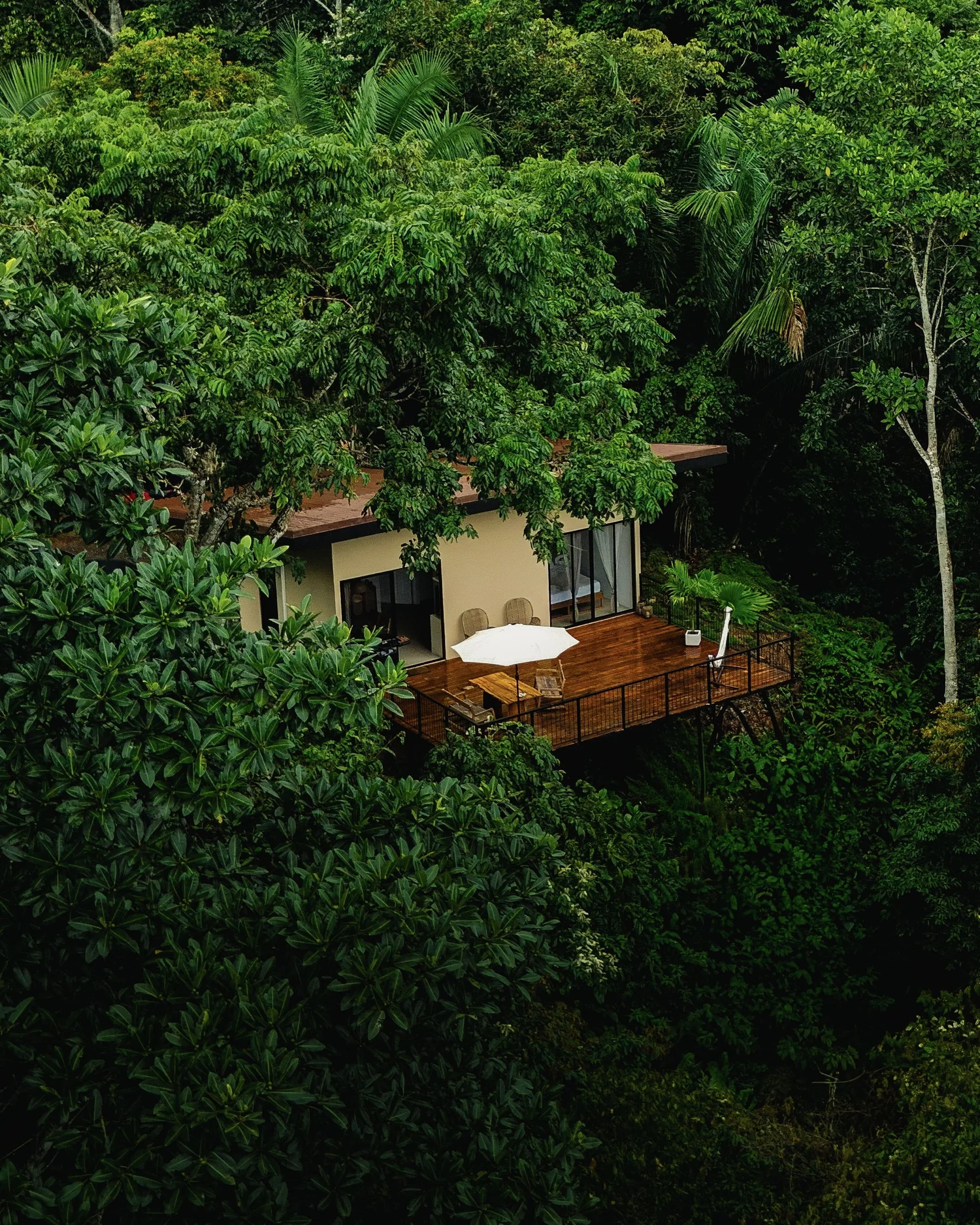Maze Lodge