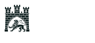 Співпрація з Німеччиною логотип