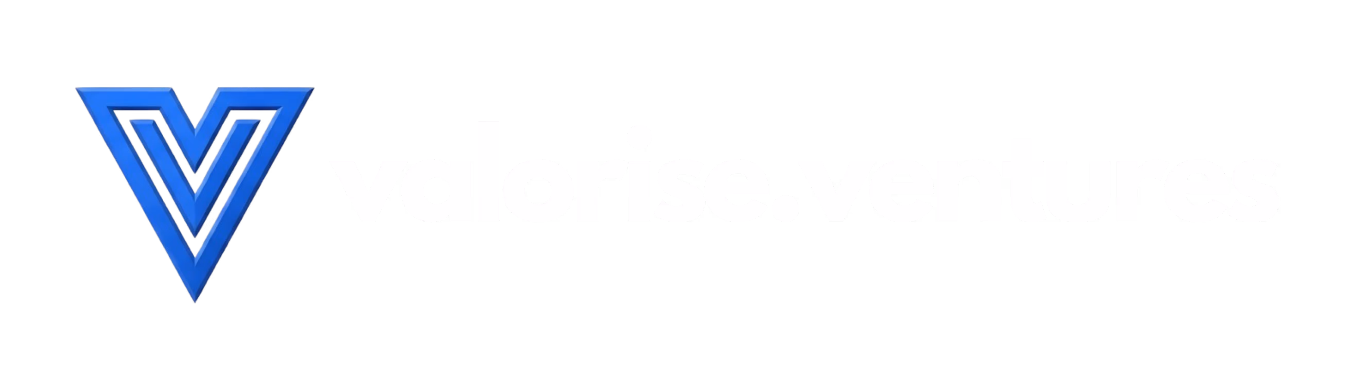 valorise.ventures logo