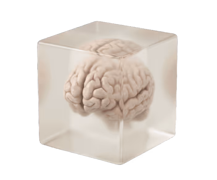 Brain in Cube