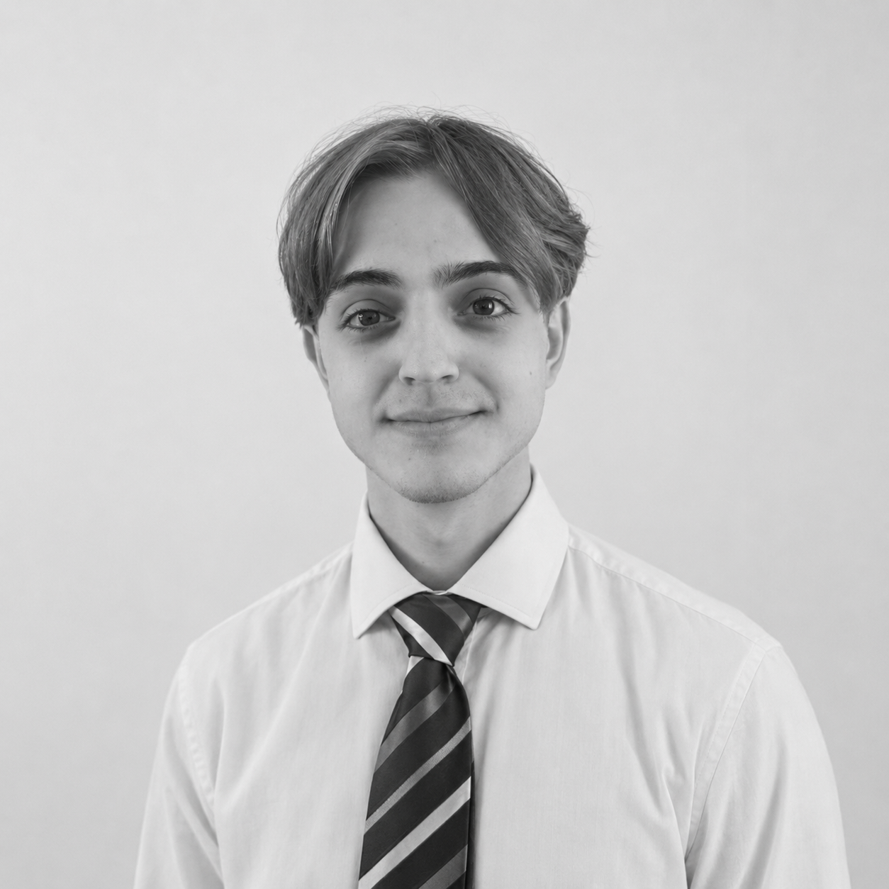 Daniel, Work Experience