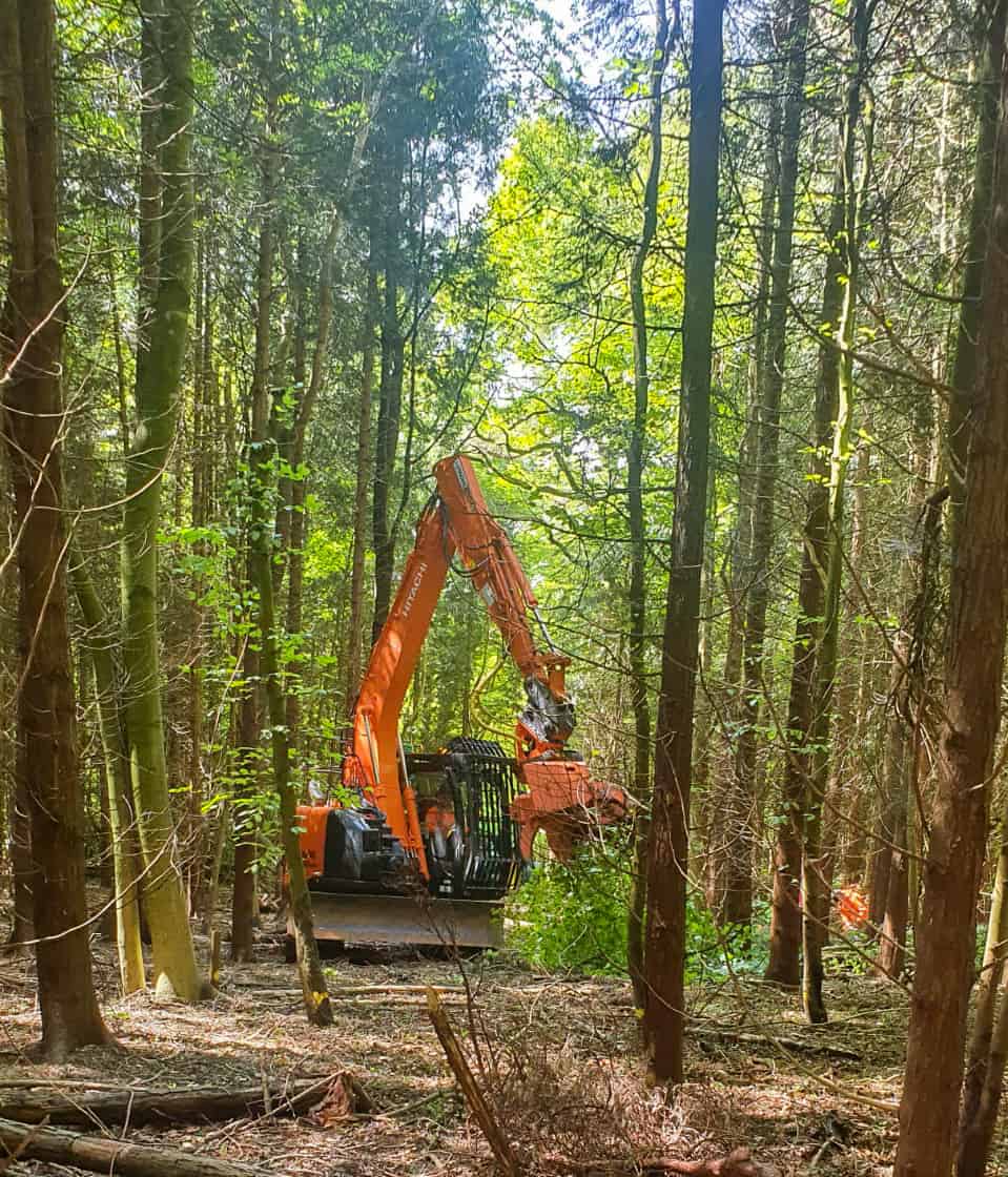 Tracked forestry excavator clearing dense woodland at the Chesham site