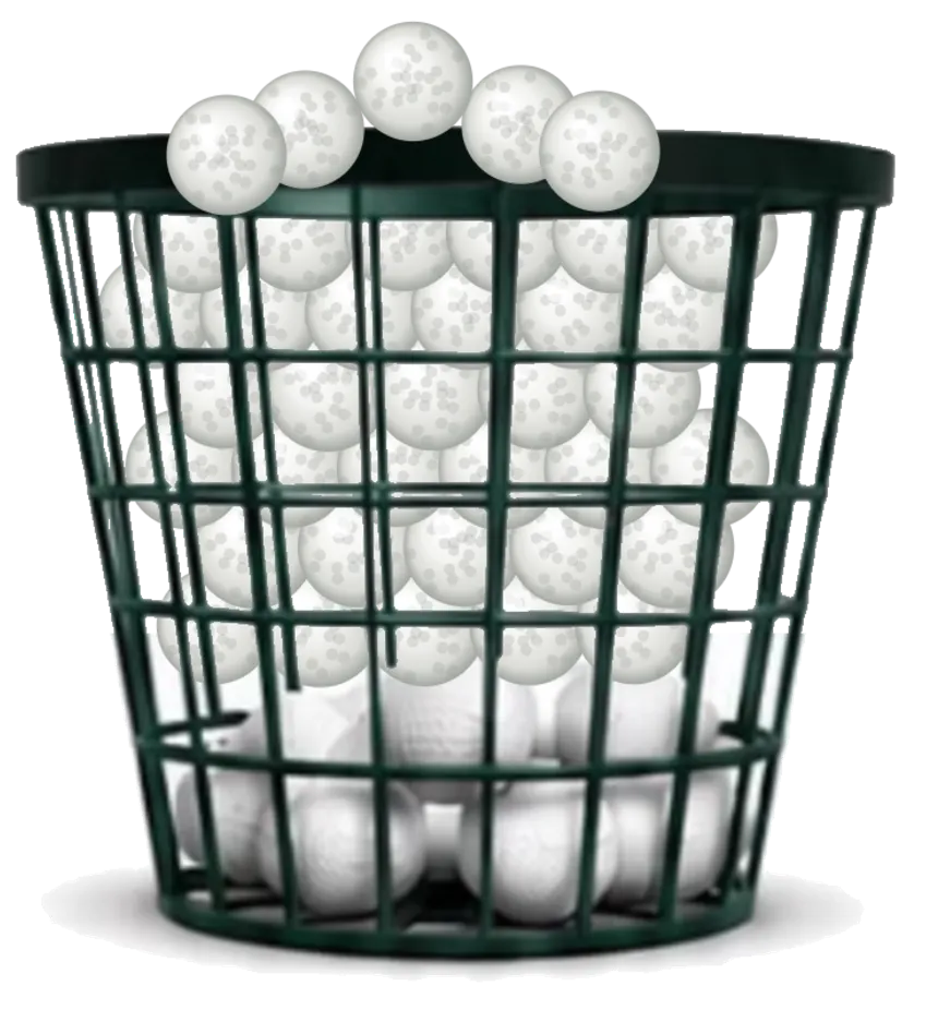 Jumbo basket of 120 range balls