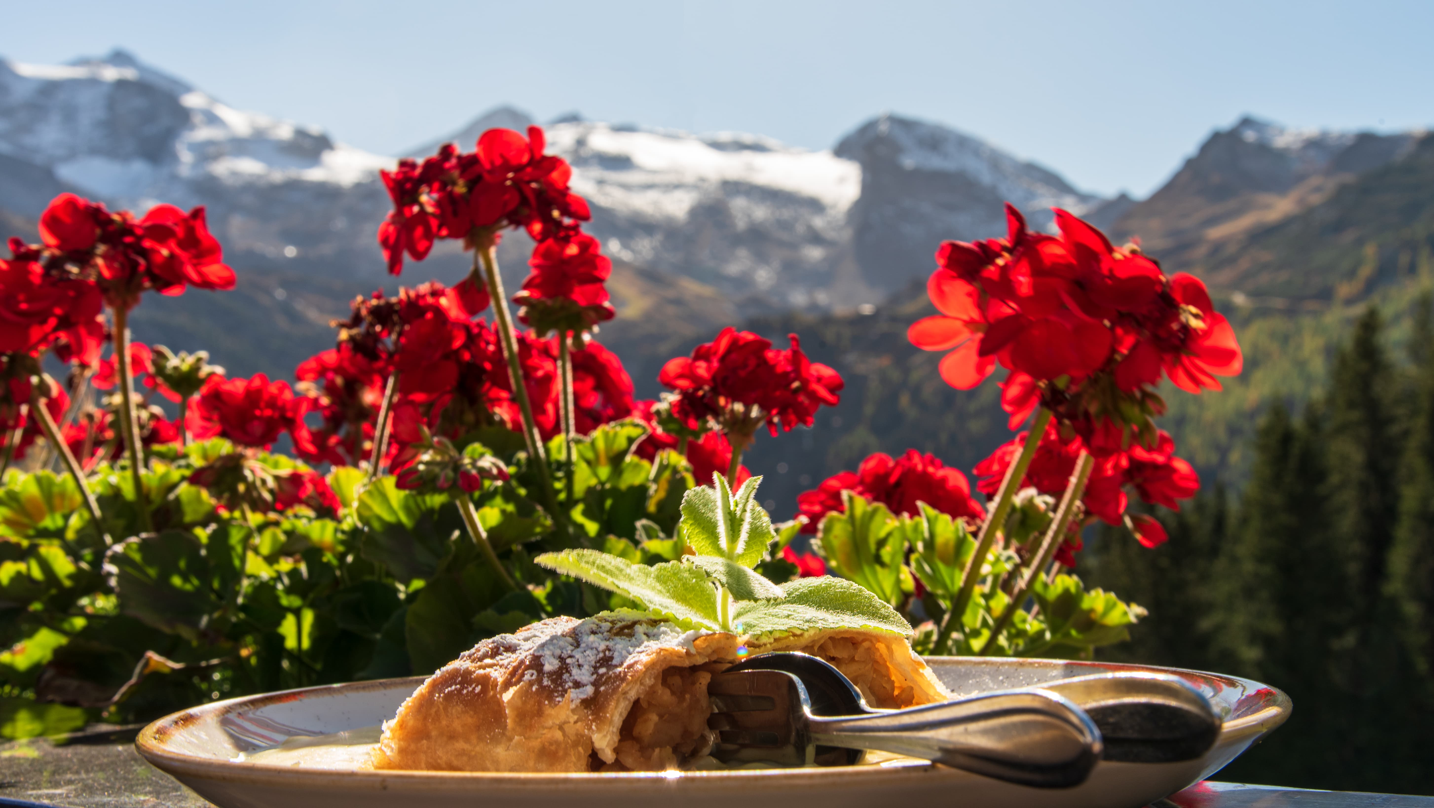 Apfelstrudel auf Teller mit rotem Blumenmeer und schneebedeckten Bergen im Hintergrund.