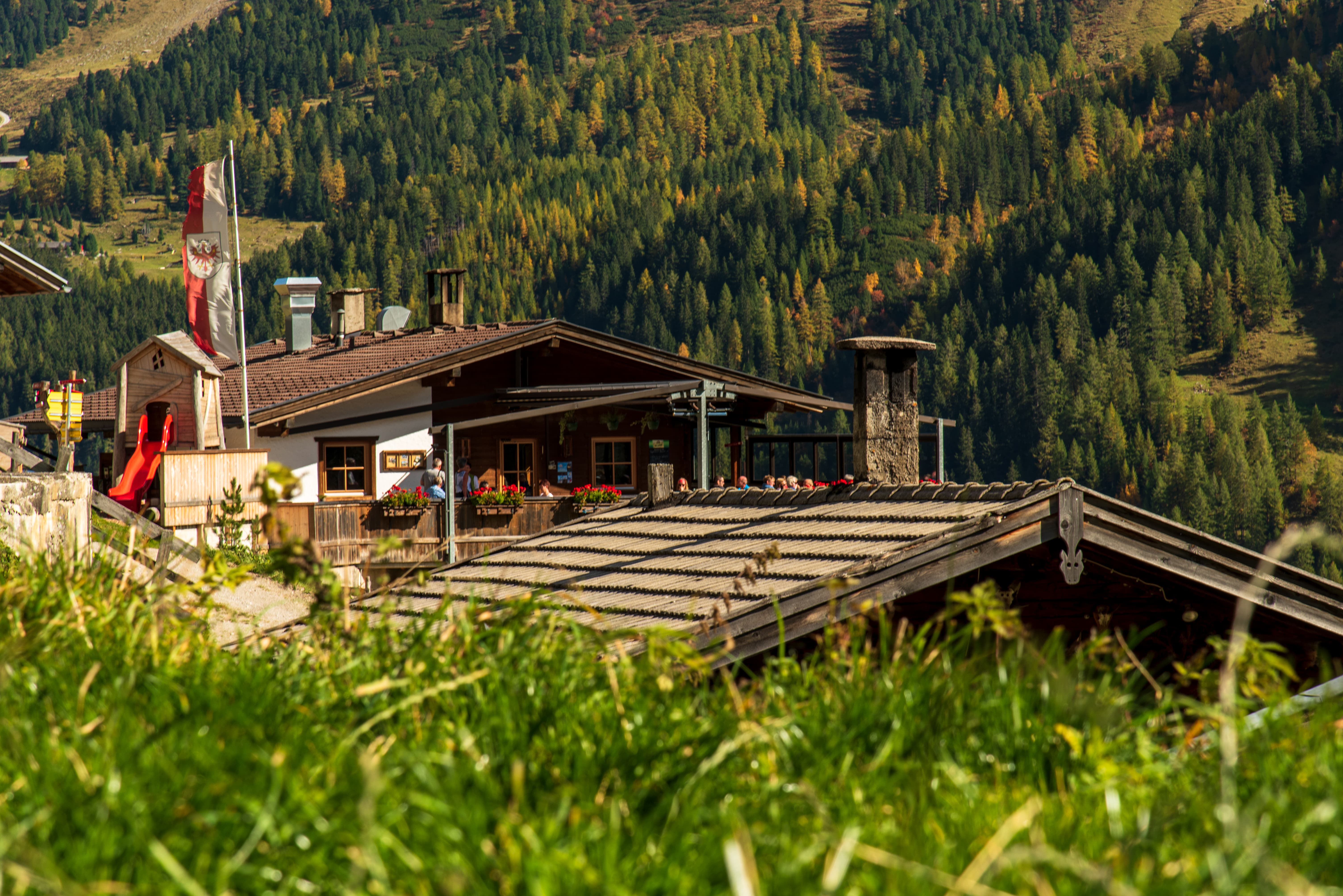 Almhütte mit bunten Blumen auf dem Balkon vor bewaldetem Berg im Sonnenschein.