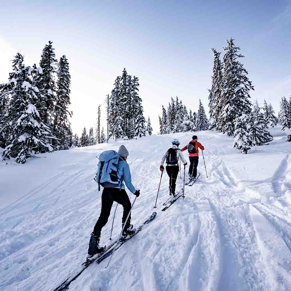 Skidåkare på fjälltur
