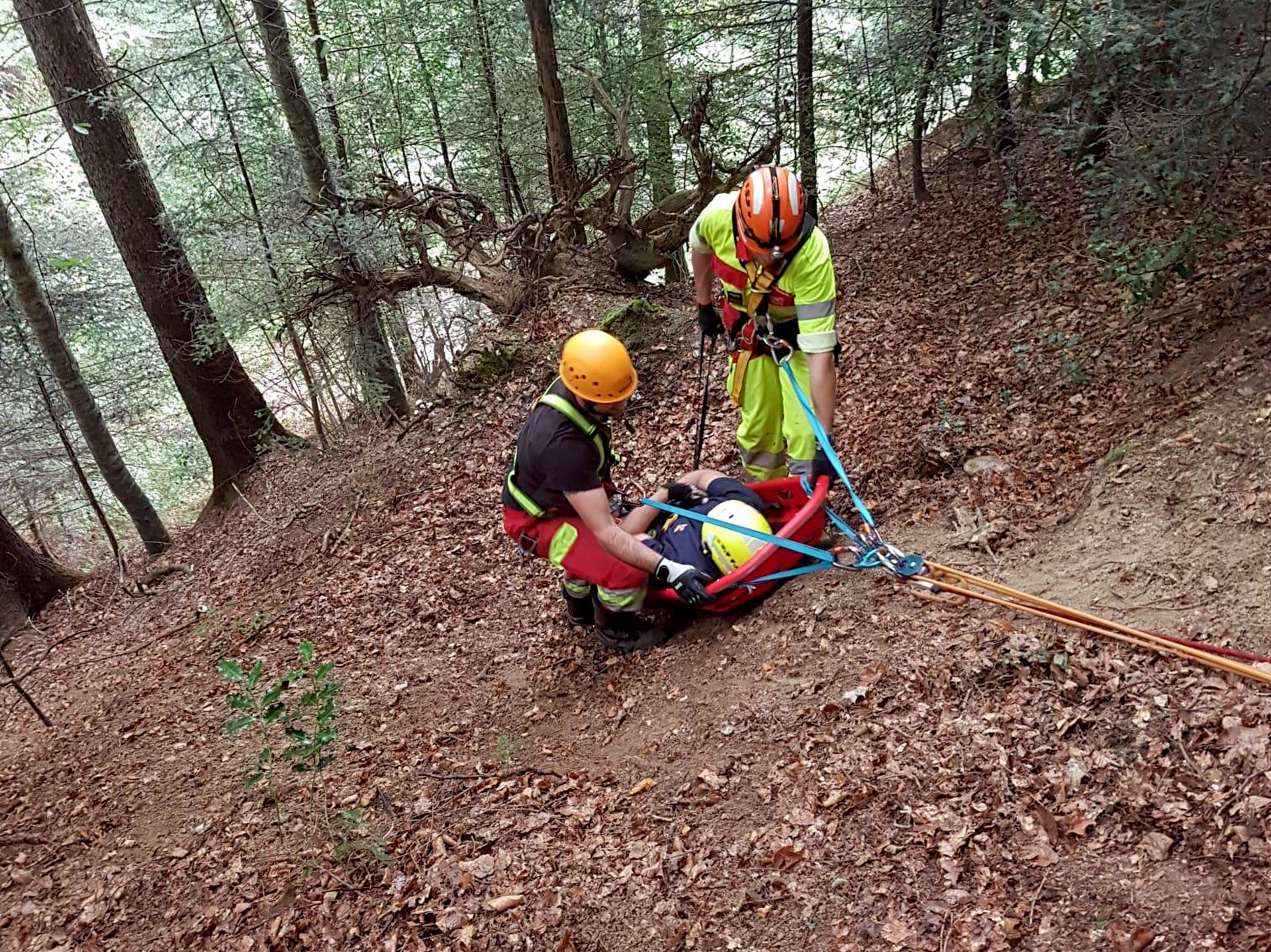 Absturzsicherung der Feuerwehr Sachseln bei einer Rettungsübung im Wald