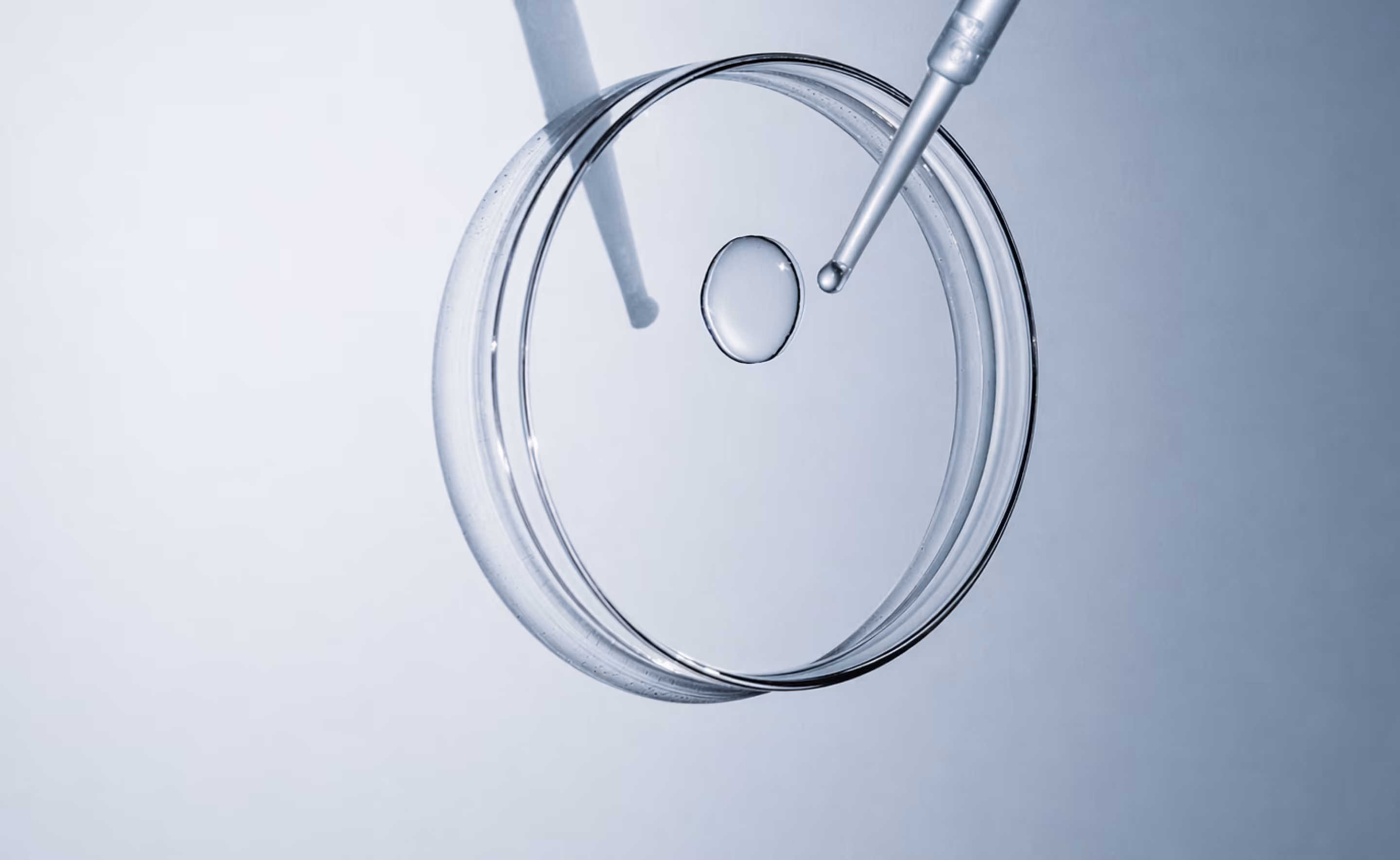 Dropper releasing a clear liquid droplet above an open petri dish on a light background.