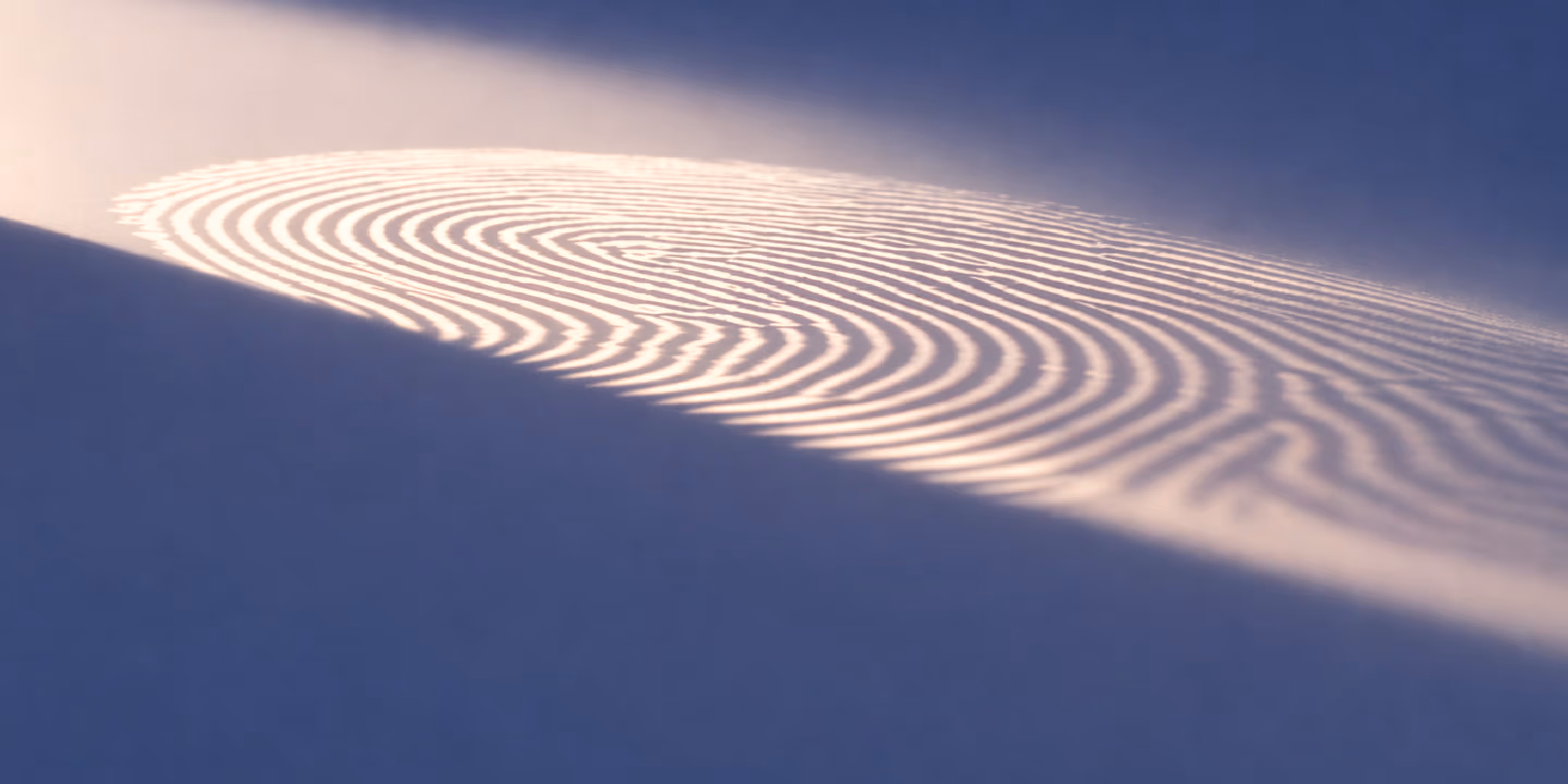 Close-up of a large, detailed fingerprint illuminated on a blue and white surface.