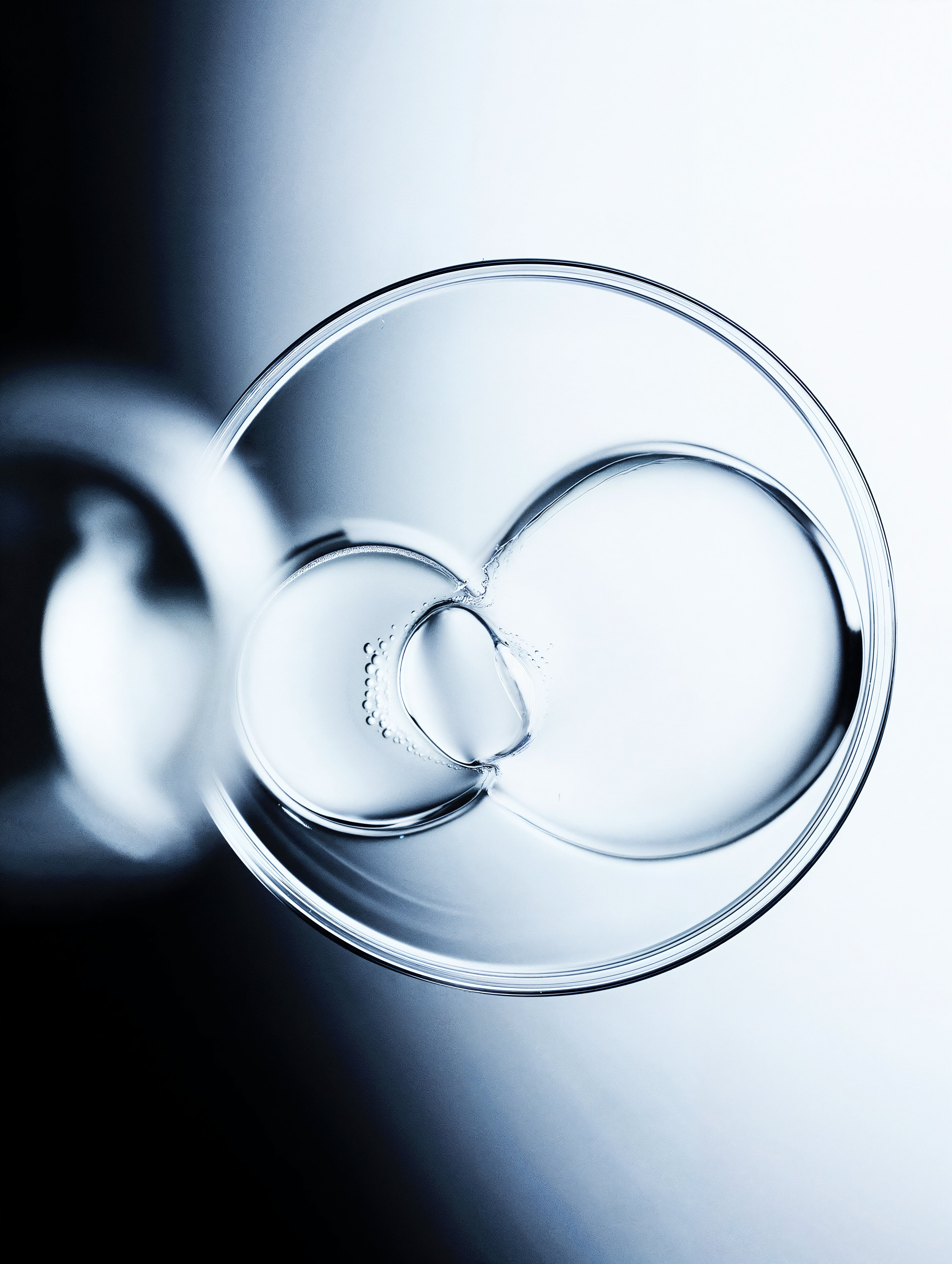 Top view of three overlapping transparent bubbles inside a glass container on a gradient background.
