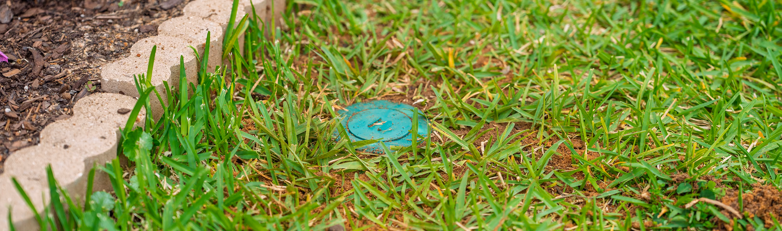 termite bait station in a florida home's yard