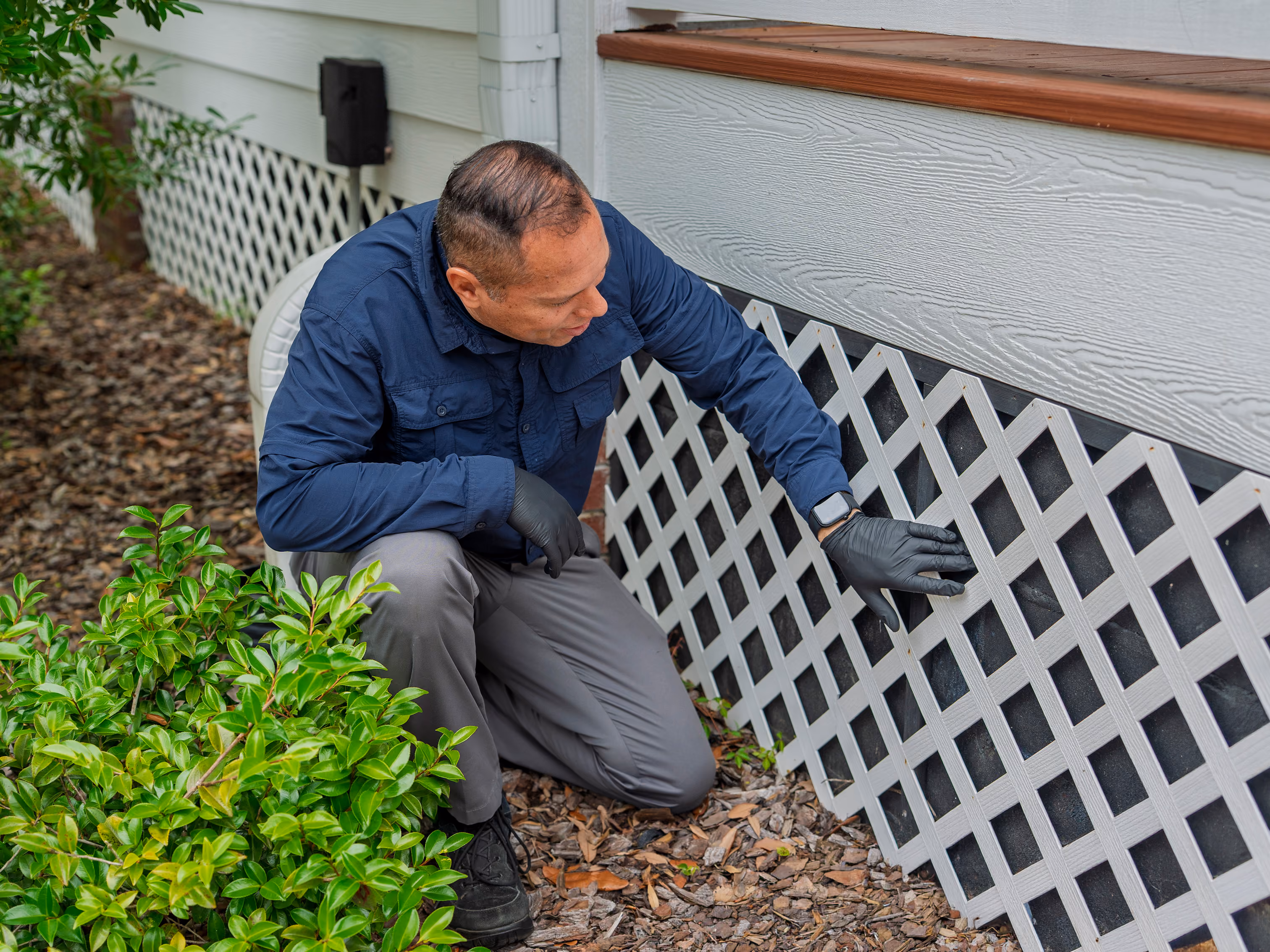 inspecting a florida property for wood destroying insects