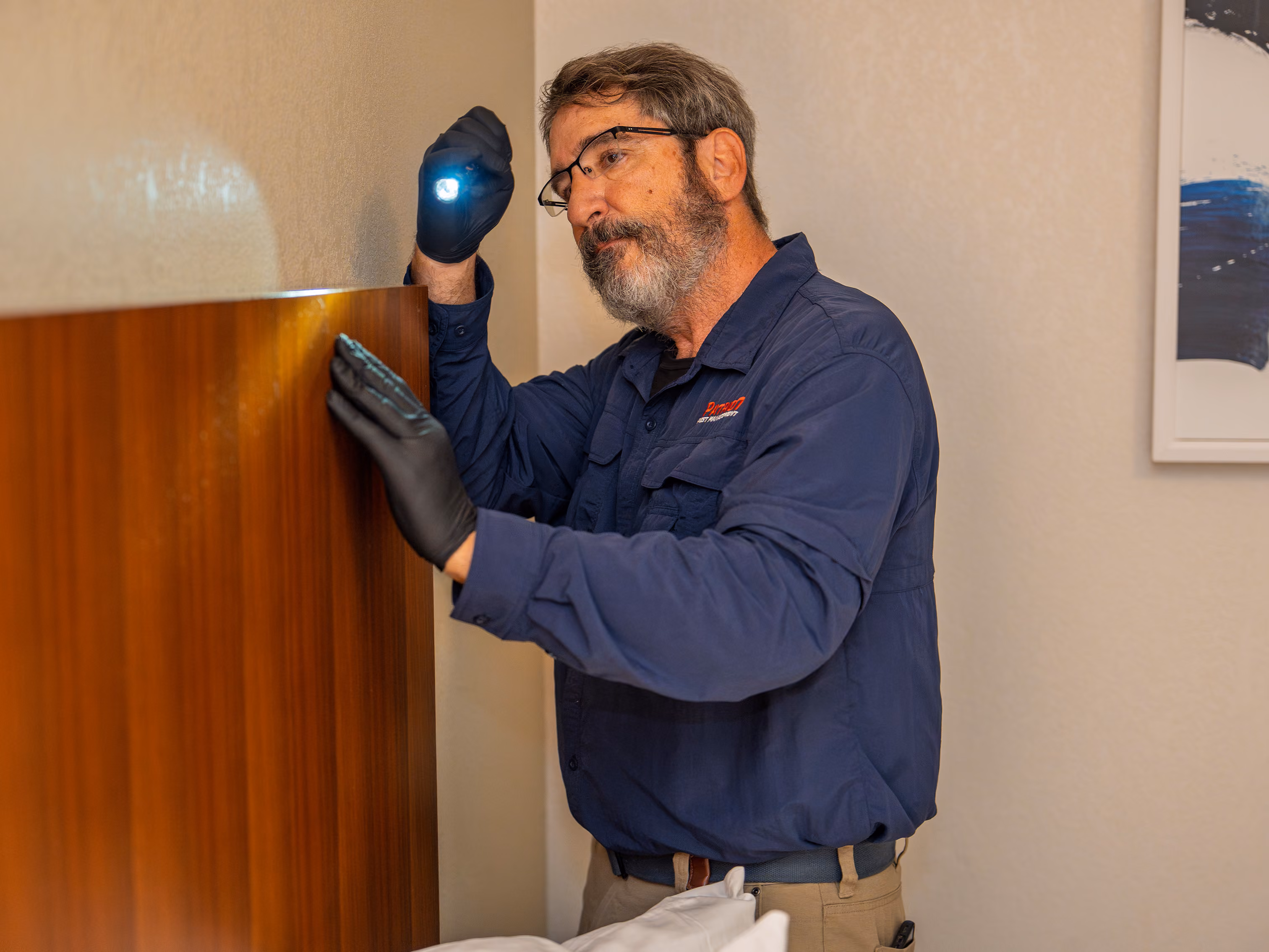 bed bug inspection in a northwest florida hotel