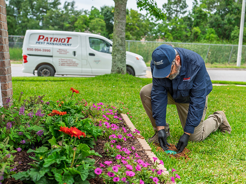 pace termite exterminator installing sentricon station