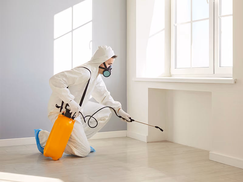 Pest control in home