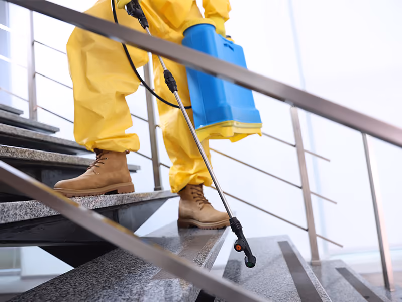 Pest control on stairs