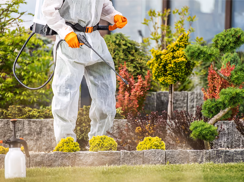 pest control outdoors