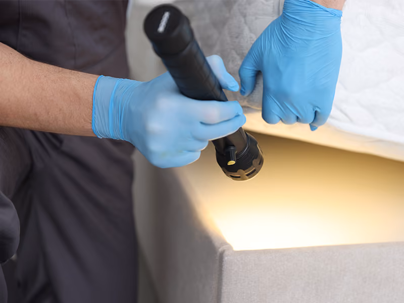 pest control preparation