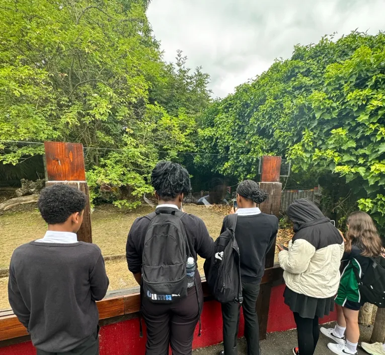 Five children in school uniforms and jackets standing and looking at an outdoor enclosed area with trees.