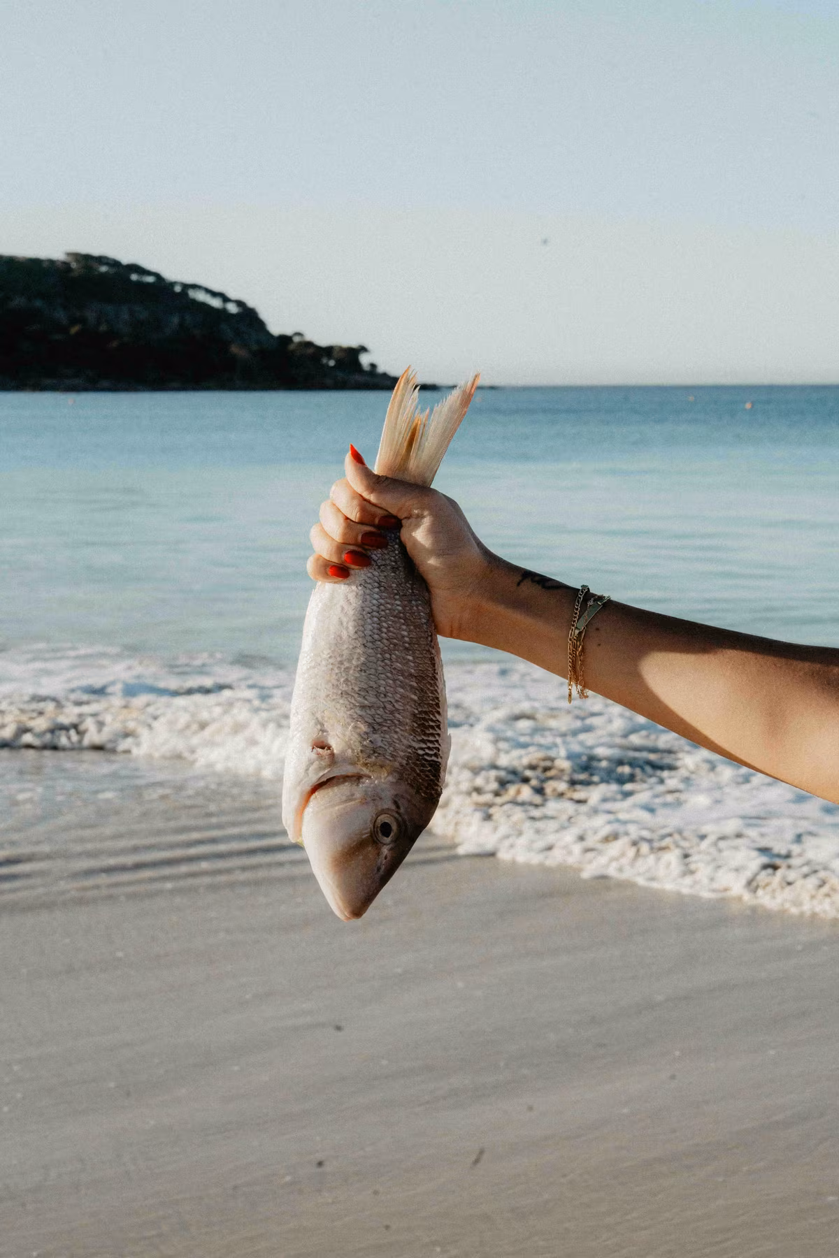 Freshly caught local fish held on the beach at Bunker Bay, Other Side of the Moon