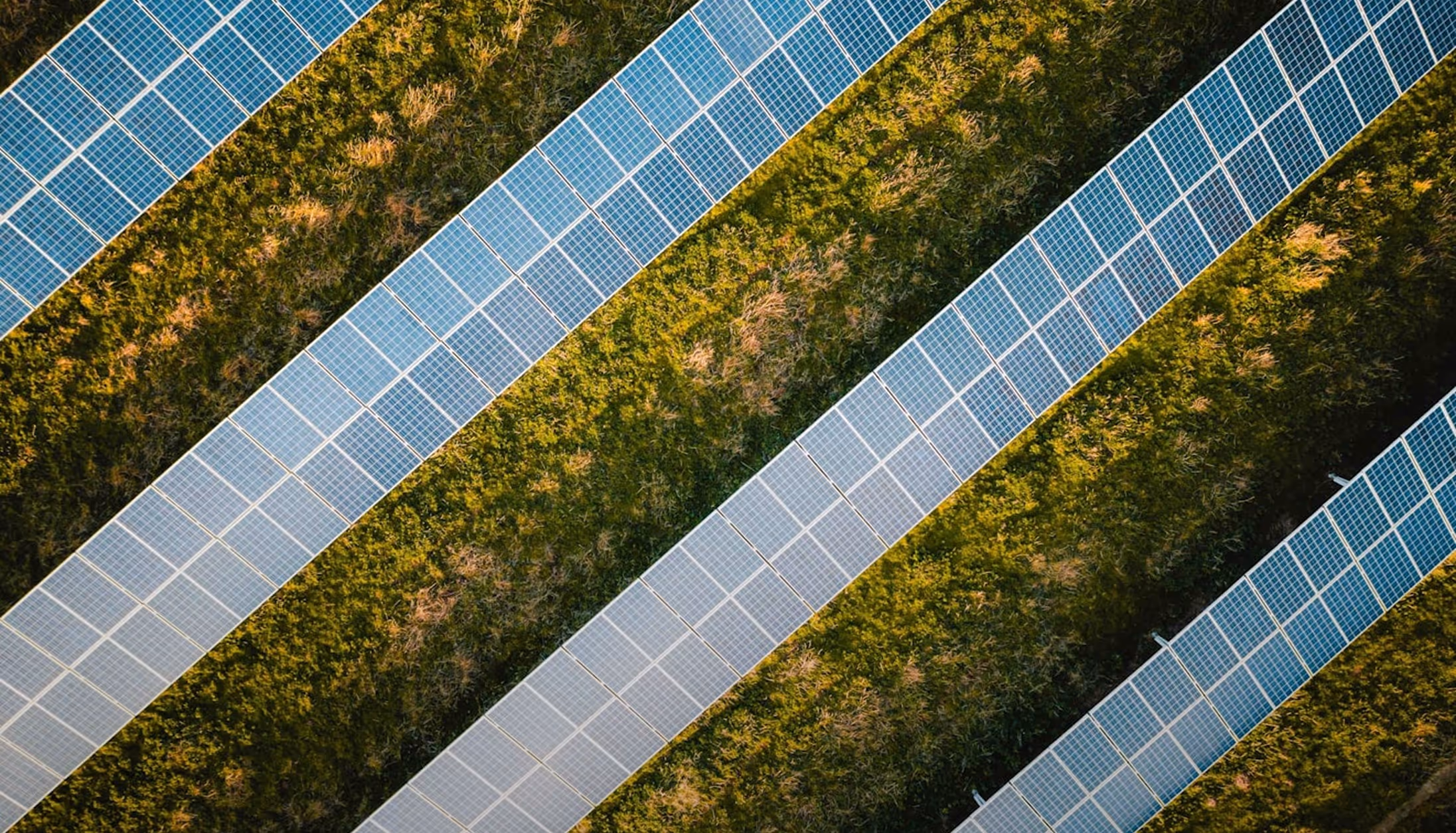 Vue aérienne de panneaux solaires sur terrain végétalisé – transition énergétique