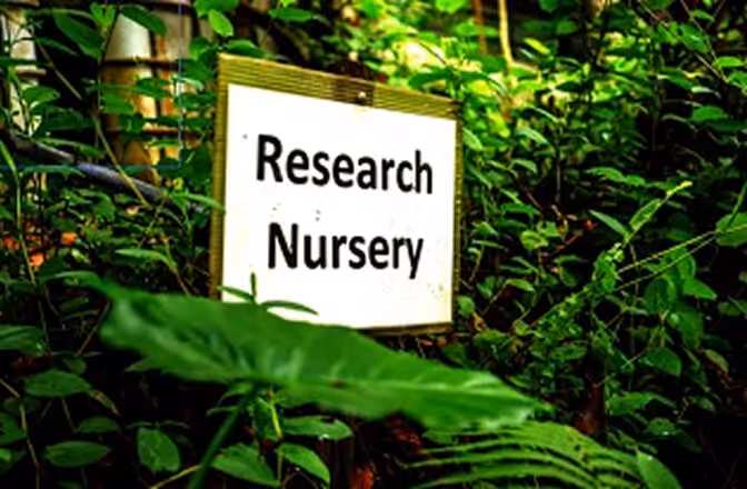 NTU Community Herb Garden 3