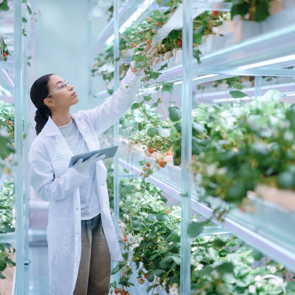 Botanical Research Portfolio