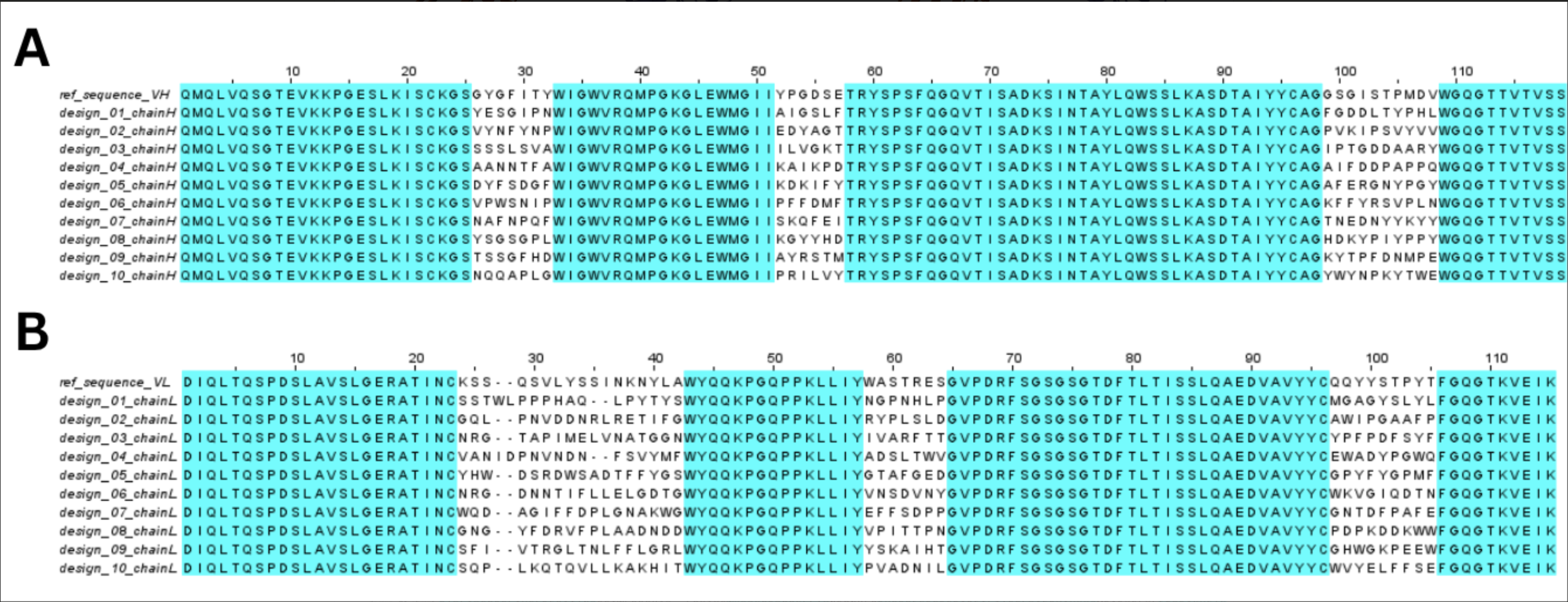 MAFFT alignment of the RFantibody heavy-chain and light-chain designs