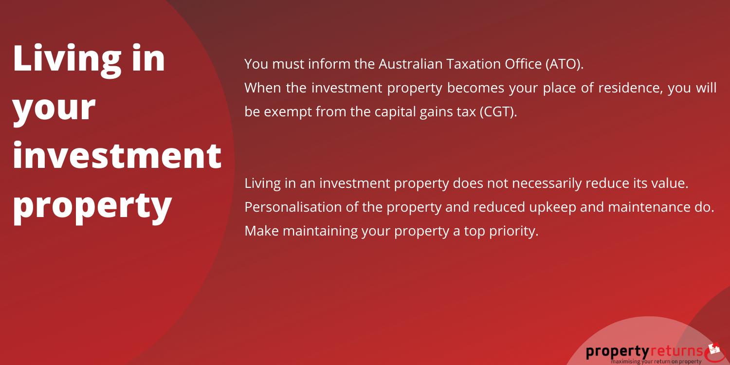 Living in your investment property things to have in mind infrographic