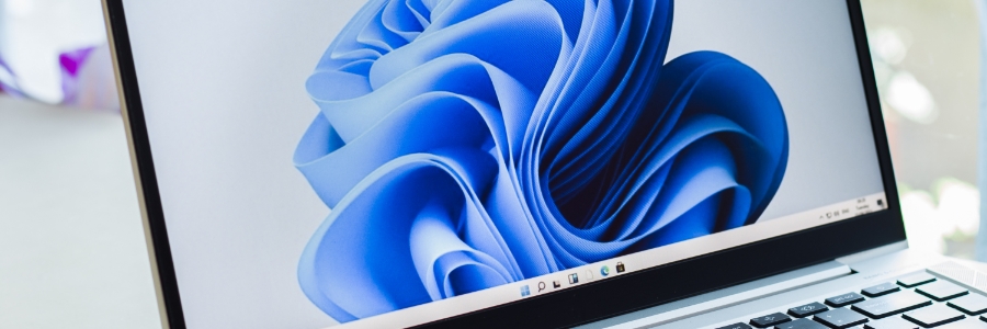 Laptop displaying Windows 11 default bloom wallpaper on desktop with taskbar visible