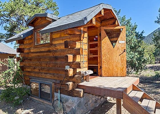Young Pine Hut