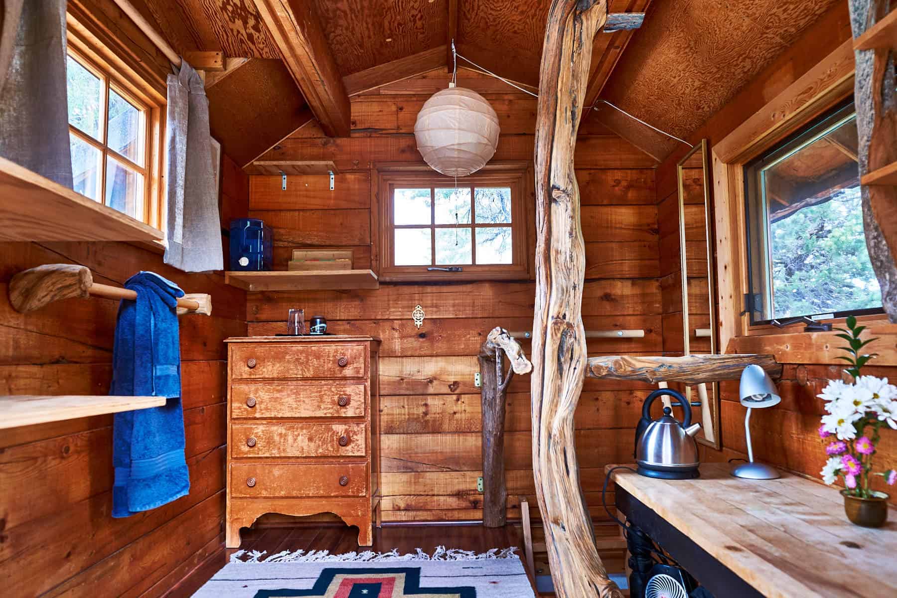 Young Pine Hut interior
