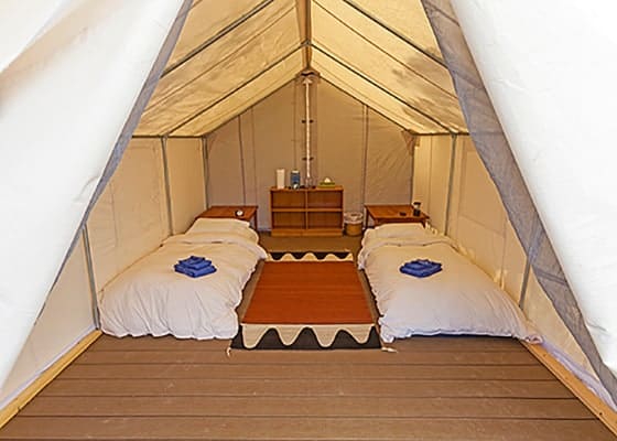 Platform Tent interior