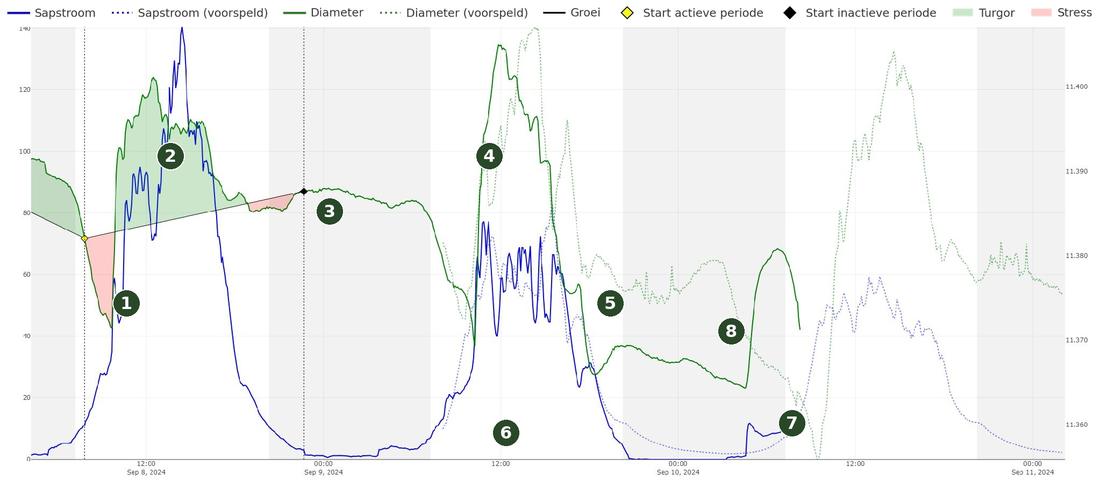 Sapstroom en stengeldiameter op 8 en 9 september met sterke zwelling na de irrigatiestart bij gestegen EC