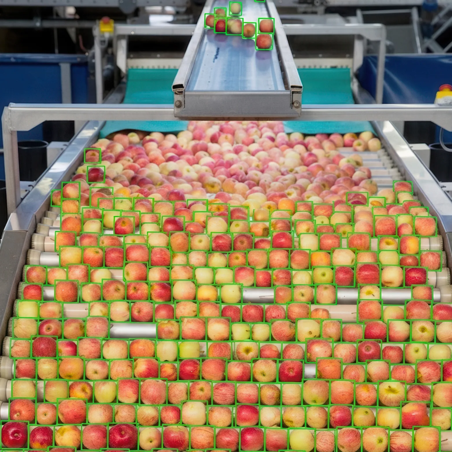 Photo of food production environment showing Polysense quality control application for this industry