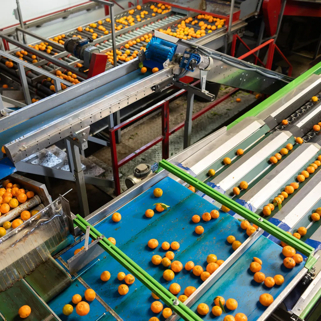 Photo of food production environment showing Polysense quality control application for this industry