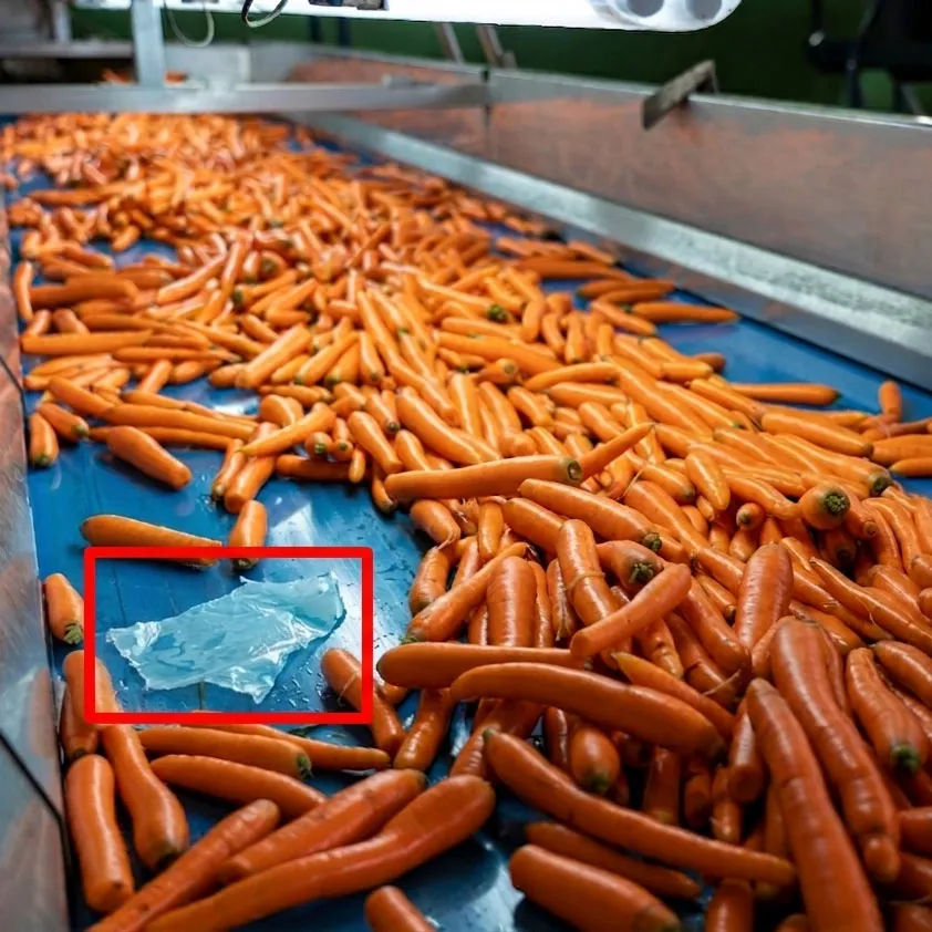 Photo of food production environment showing Polysense quality control application for this industry