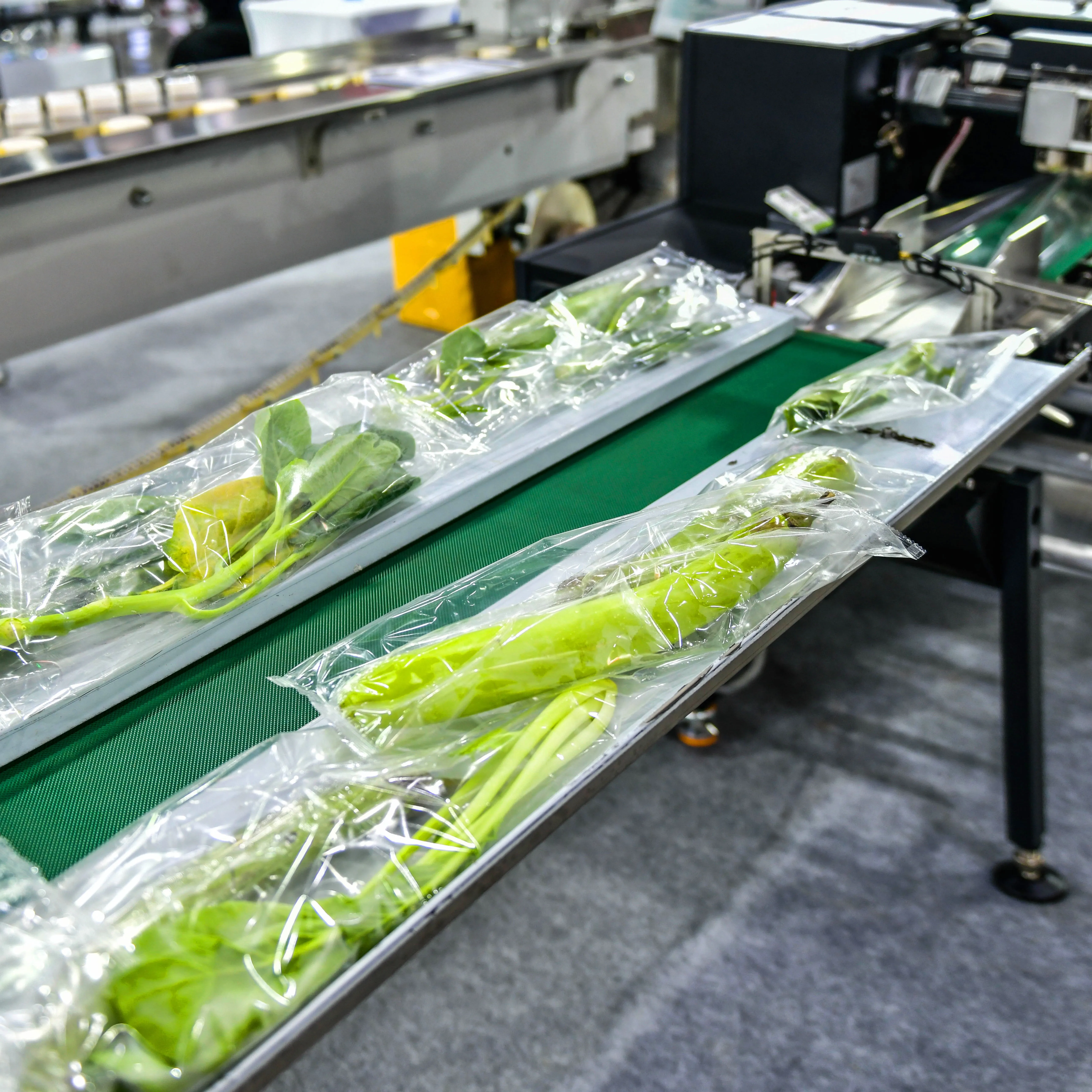 Photo of food production environment showing Polysense quality control application for this industry