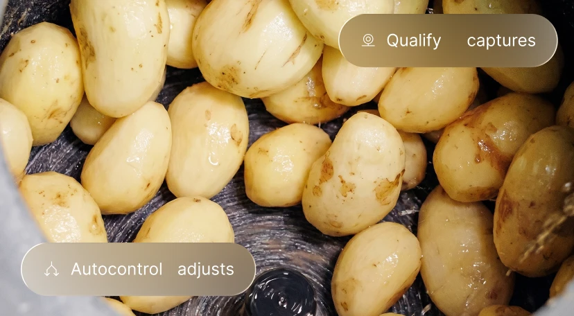 Visual showing measurable impact of Polysense AI quality control in food production