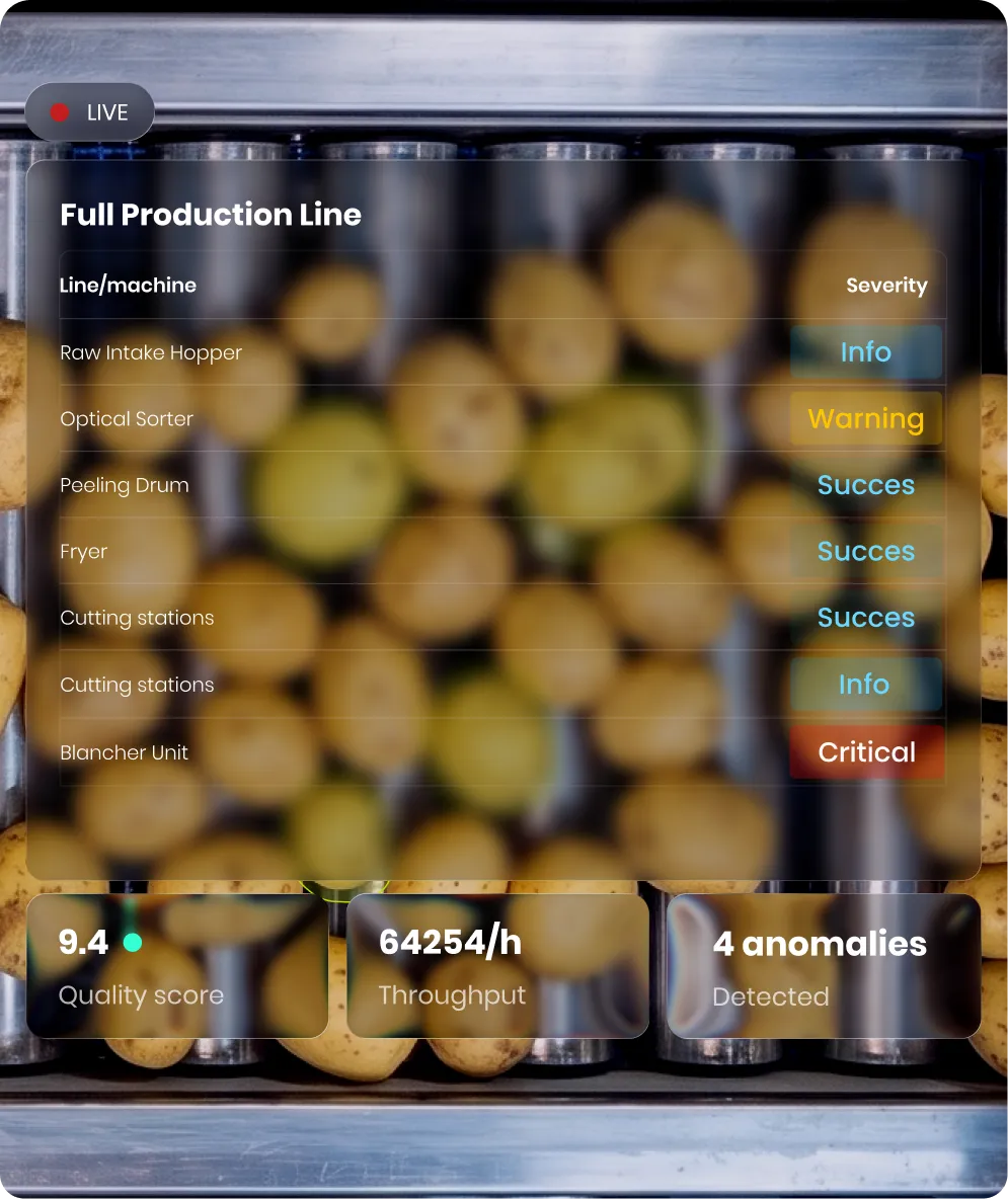 Polysense Qualify inline quality inspection camera system installed above a food production conveyor