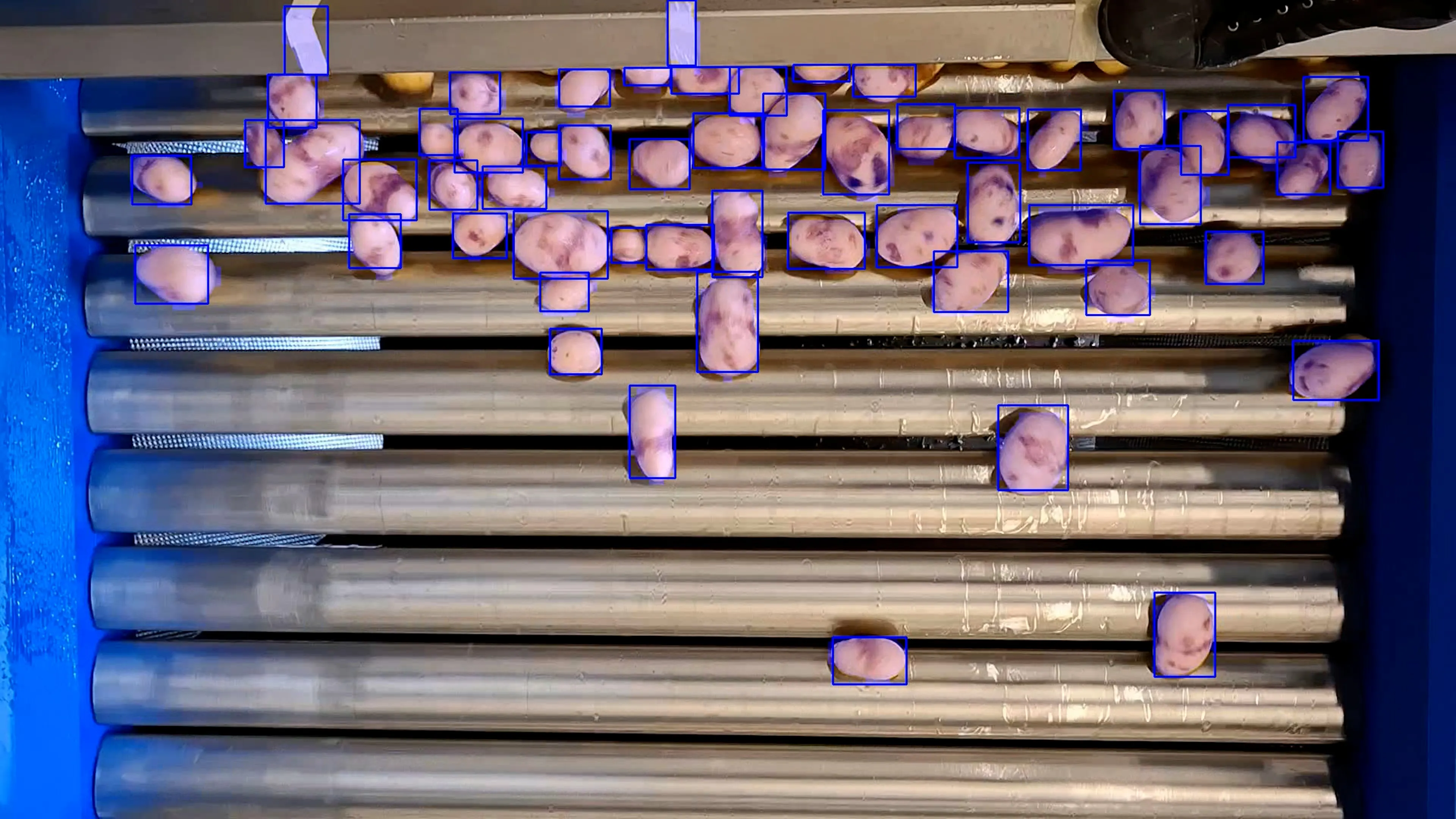 Thumbnail image for Polysense blog article about AI quality control in food production