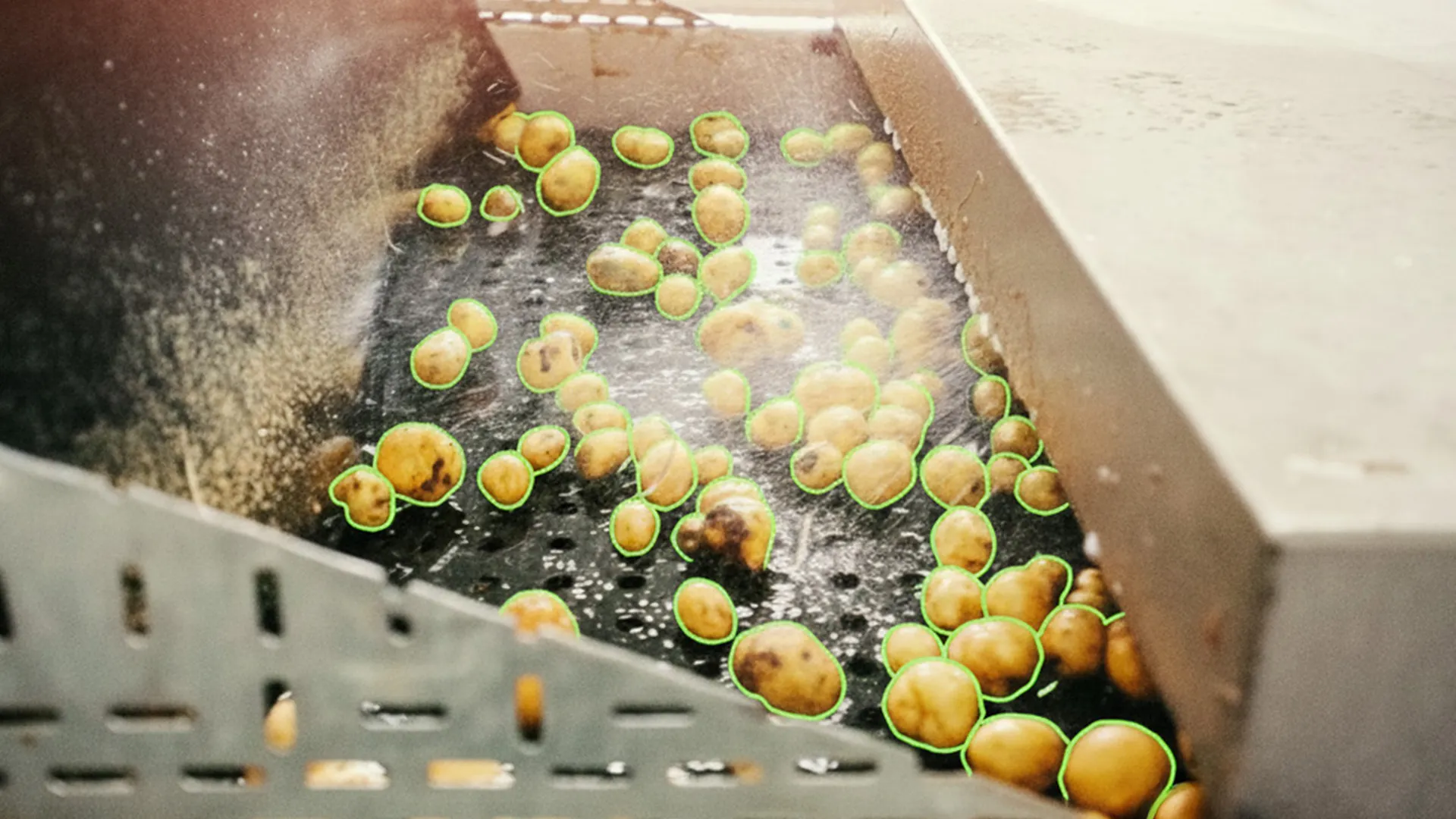 Thumbnail image for Polysense blog article about AI quality control in food production