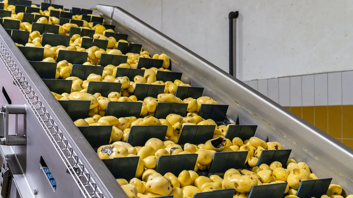 Thumbnail image for Polysense blog article about AI quality control in food production