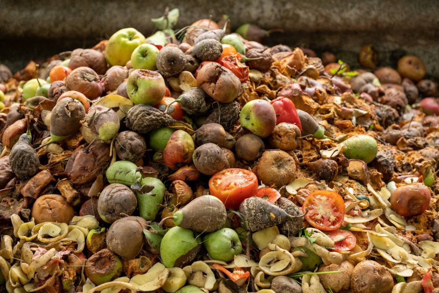 Thumbnail image for Polysense blog article about AI quality control in food production
