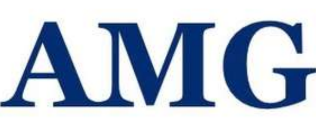 AMG Professionals logo