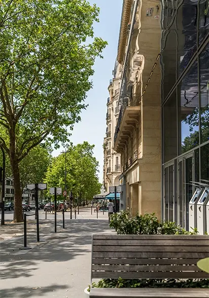 Trottoir arboré bordant une façade haussmannienne en pierre, banc en bois et vitrine reflétant le ciel