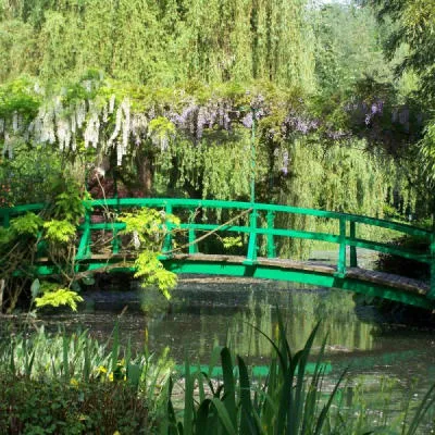 Pont japonais vert sur un étang verdoyant entouré de saules pleureurs et de glycines, jardins de Giverny