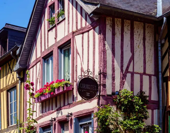 Façade à colombages rose et violet d'une boutique de curiosités ornée de fleurs colorées et de plantes grimpantes