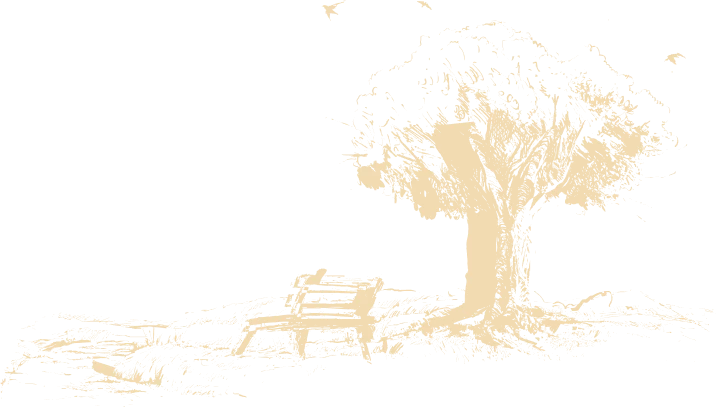 Banc de parc vide sous un grand arbre avec des oiseaux volant dans un ciel sombre.